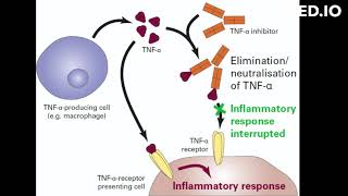 adalimumab uses and moa [upl. by Cuthburt978]