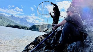 Dipnetting Alaskas Copper River Red Salmon amp Exploring the Foot Hills of the AK Range [upl. by Ahset833]