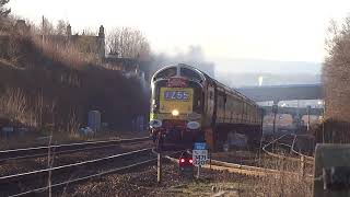 Deltic approaches Meadowhall at speed with tones Turn your speakers up [upl. by Lac992]