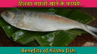 Health benefits of hilsa fish in Hindi Hilsha fish [upl. by Wolenik]