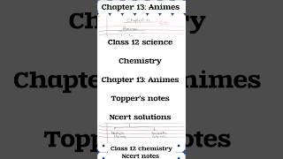 Amines Chapter 13 class 12 chemistry toppers notes ncert solutions class12 neet jee chemistry [upl. by Nyliac]