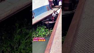 মাঝি অনেক কষ্টের মধ্যে পড়ে গেছে foryou pigen bird shortsvideo funny JunedAhmed000 🤭🔴 [upl. by Amleht]