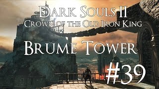 Dark Souls 2 DLC II CotOIK PC 100 Walkthrough 39  Brume Tower  Destroying Ashen Idols [upl. by Dag]