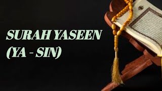 SURAH YASEEN YASIN PART 1154 [upl. by Nnyltiak]