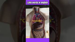 Latin words in english motivation englishvocabularyhomographswordsress facts useofsimplepastten [upl. by Leamsi716]