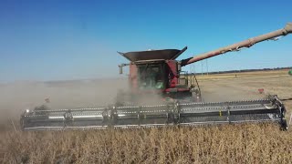 Harvesting Pioneer Z Series Soybeans From Corteva Agriscience [upl. by Georgine603]