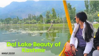 Shikara ride in Dal Lake Kashmir  Delhi to Srinagar latest road update [upl. by Jonathan101]