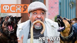 Waka TM New Eritrean comedy 2024 Wardya by Dawit Eyob ዋርድያ ብ ዳዊት እዮብ [upl. by Narad785]