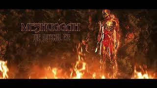 Meshuggah  The Abysmal Eye Instrumental  Studio Quality [upl. by Sigfrid]