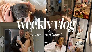 Meet our NEW DOG amp a weekly vlog  Georgia May [upl. by Rosalind599]