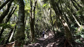 Morning trail run  Western Okataina Track amp Twin Lakes Track Rotorua NZ [upl. by Ibed797]