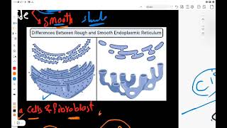 Chapter1 Cytology membranous organelles Rough and smooth endoplasmic reticulum amp Golgi apparatus [upl. by Eneri]