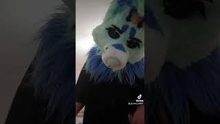 🔥🔥🔥 furry furs fur fursuit furr dance вреки furredition furring [upl. by Aurlie]