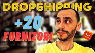 Furnizori Dropshipping Romania si International Dropshipping Suppliers [upl. by Phare]