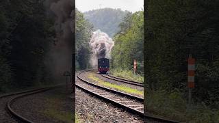 99 6001 und HOYA mit Rollwagen in Eisfelder Talmühle trainspotting train steamtrain sound [upl. by Ambrosio]