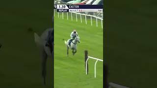 Wonderful horsemanship 👏🏻 horse horseracing racingtv sport britishhorseracing [upl. by Even904]