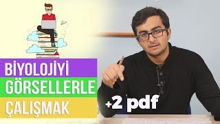 YKSBİYOLOJİYE ÇİZİMLERLE ÇALIŞMAK  SİNDİRİM SİSTEMİ  NASIL DAHA KALICI OLUR  ZİHİN HARİTASI [upl. by Ninnahc]