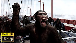 Rise of the Planet of the Apes 2011 Apes vs Humans  Bridge Battle  Best Movie Scene [upl. by Ahsilrac884]