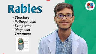 Rabies virus  Management of a dog bite  Community medicine  Microbiology bangla lecture [upl. by Ailuj]