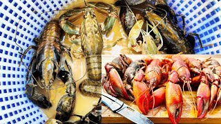 Cajun Yabbies Yabby Catch And Cook With Cajun Seasoning [upl. by Natascha]