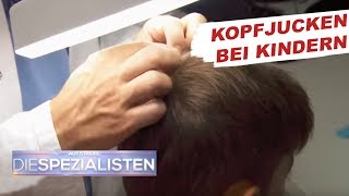 Permanentes Kopfjucken  Läusebefall  Auf Streife  Die Spezialisten  SAT1 TV [upl. by Stinky33]