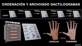 Ordenación y archivado dactilogramas [upl. by Eitsirhc]