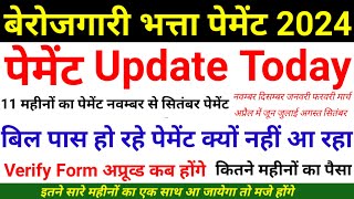 आज 9 नवम्बर पेमेंट न्यूज़ दुबारा पेमेंट कब  Berojgari bhatta latest news payment 2024 ptetexam [upl. by Cianca]