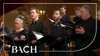 Bach  Cantata Herr gehe nicht ins Gericht BWV 105  Van Veldhoven  Netherlands Bach Society [upl. by Eornom]