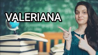 VALERIANA OFFICINALIS HOMOEOPATHIC MEDICINEEXPLAINED WITH ALLEN KEYNOTES DRDEEKSHA [upl. by Ciprian]