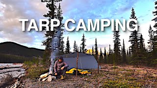 Tarp Camping Tips and Tricks Picking a Camp Site Pitching First Trip [upl. by Ki]