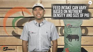 60 Seconds with Sunglo 16G Show Pig Feed [upl. by Adley]