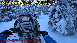 First Ride 2024 Polaris Rmk Khaos 9R 155 Deep Snow In The Mountains [upl. by Harli253]