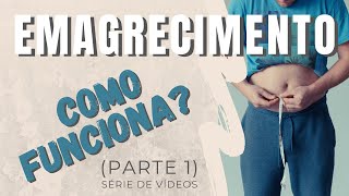 Como realmente EMAGRECER Parte 1 Simplificando a Fisiologia do EMAGRECIMENTO [upl. by Dhruv116]