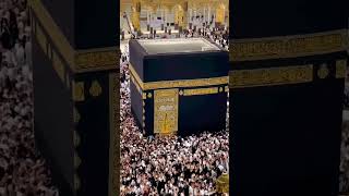 Mus tafa😍😍😍viralislamicvideo shortvideo islamicvideo subscribe trending kaba [upl. by Ernaline]