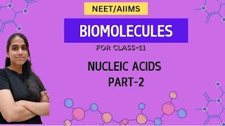 NEETAIIMS  CLASS11  BIOMOLECULES NUCLEIC ACID  PART2 physicswallah alakhpandey neet [upl. by Desdemona]