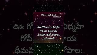 MANTRA 32  Gopala Gayathri Manthra shortvideo youtubeshortsytshorts youtubetrendingshorts [upl. by Ahseikan]