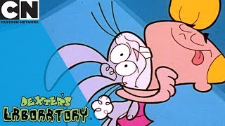 Dexters Laboratory  Animal Swapping Remote  Cartoon Network [upl. by Anahsar]