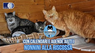 ORDINA IL CALENDARIO E L’AGENDA OIPA 2024 AIUTERAI I “NONNINI” DELL’OASI FELINA DELL’OIPA DI GELA [upl. by Mukund]