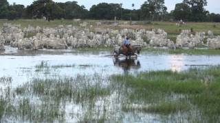 Filme  PANTANAL [upl. by Adaha231]