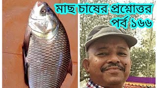 Question and answer on fish culture।Part 166। মাছ চাষের প্রশ্নোত্তর। পর্ব ১৬৬। Abeed Lateef [upl. by Glyn]