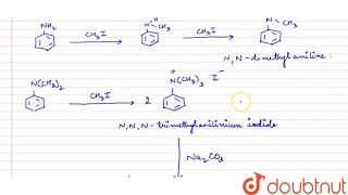 Write reactions of the final alkylation product of aniline with excess of methyl iodide in the p [upl. by Laurella37]