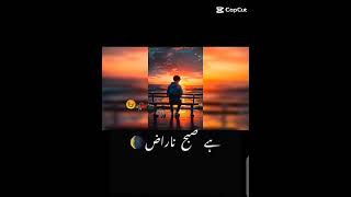 Dhoondta Tha Ek Pal Mein Dil Jise Sau Dafa 💔 😔 viralshort yautubeshort songstatus [upl. by Sherrie]