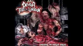 Devour The UnbornGorging On Abortions Lyrics [upl. by Llezom396]