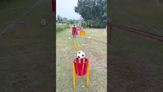 football accuracy and a whole lot of fun [upl. by Ahsyekal]