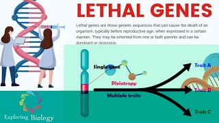 Lethal genes amp Pleiotropy Genes in Tamil [upl. by Elyl33]