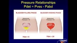 LABORIE Webinar Series Components of Urodynamic Testing [upl. by Raddi188]