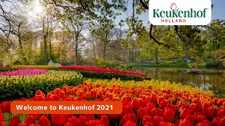 Welcome virtual visitor  Keukenhof 2021🌷 [upl. by Florry]