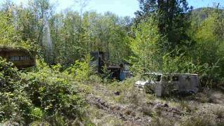 Property Full of Abandoned Logging Equipment [upl. by Imaon]