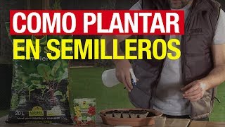 Cómo plantar en semilleros  COMPO Jardinería [upl. by Aimee82]