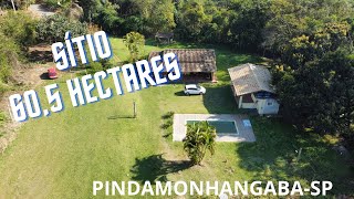 SÍTIO 605 HECTARES EM PINDAMONHANGABA [upl. by Omle]